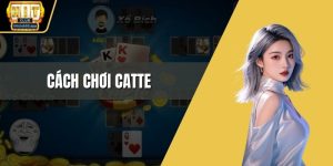 Cách chơi Catte