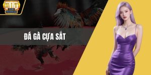 Đá gà cựa sắt