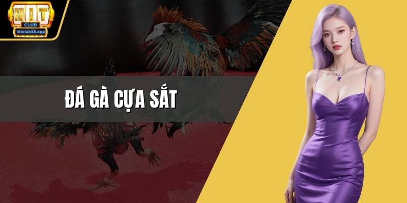 Đá gà cựa sắt