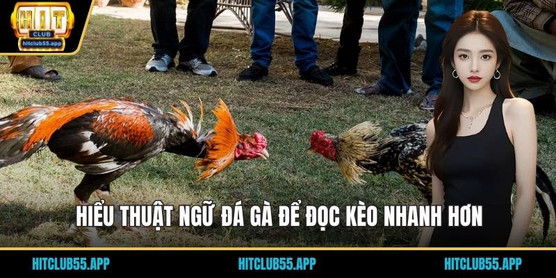 Hiểu thuật ngữ đá gà để đọc kèo nhanh hơn