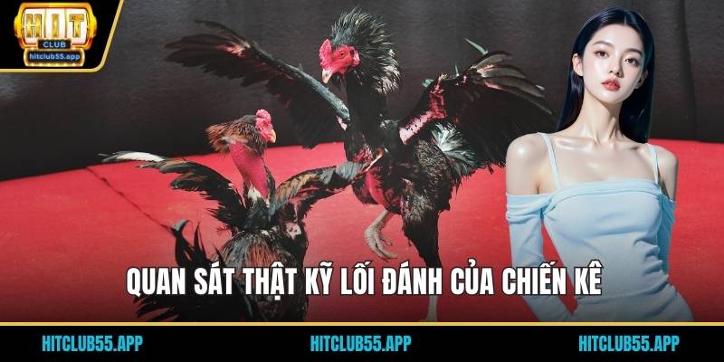 Quan sát thật kỹ lối đánh của chiến kê