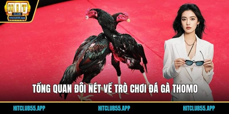 Tổng quan đôi nét về trò chơi đá gà thomo